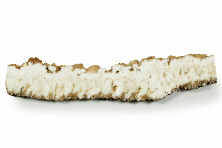 Polished White Plume Agate Slab - Nevada #371196